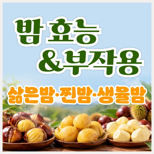 밤 효능과 부작용 총정리｜삶은밤·찐밤·생율밤 효능과 당뇨까지