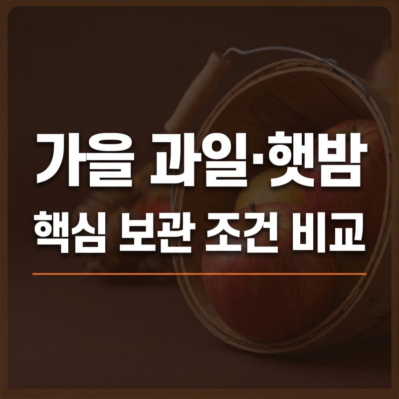 가을 과일 보관법 사과 배 샤인머스켓 감 밤 썩지 않고 아삭하게 한 달 보관하는 꿀팁