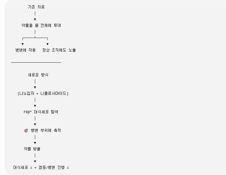 새로운 나노입자 약물 전달 방식이 자궁내막증 치료를 개선할 수 있다