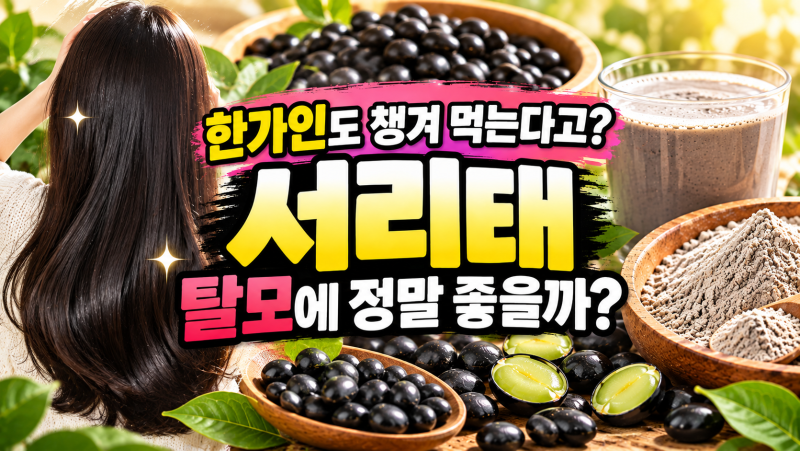 서리태, 탈모에 정말 좋을까? 효능·칼로리부터 콩가루 두유까지