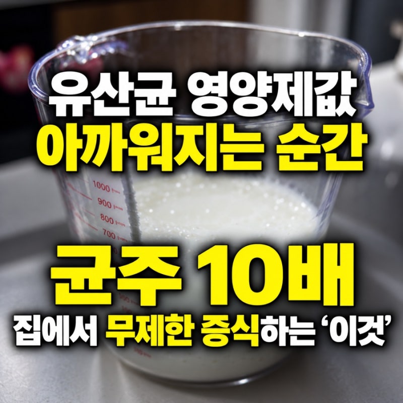 티벳버섯 키우기 요거트 만들기 유산균 영양제 균주의10배｜케피어 효능과 먹는법