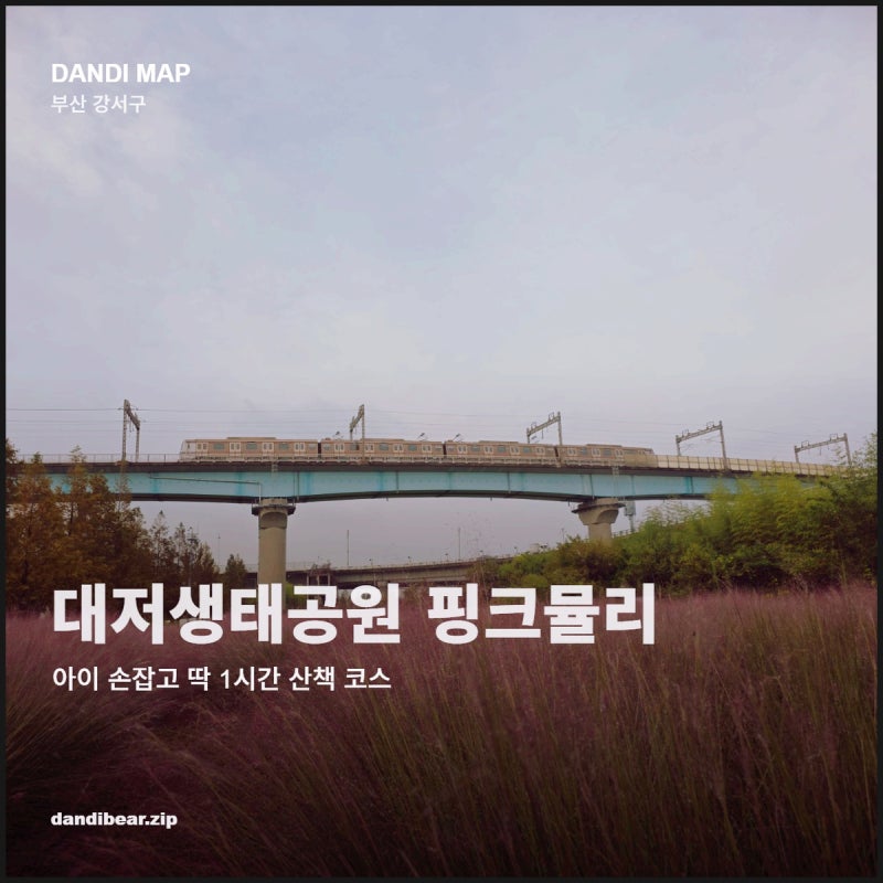 10월 부산 대저생태공원 핑크뮬리 주차 어디로? 초등학생 아이와 걸을 때 P2 주차장을 찍어야 ....