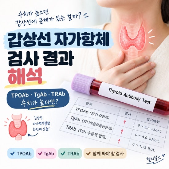 갑상선 자가항체 검사 결과 해석, TPOAb·TgAb·TRAb 수치가 높다면?