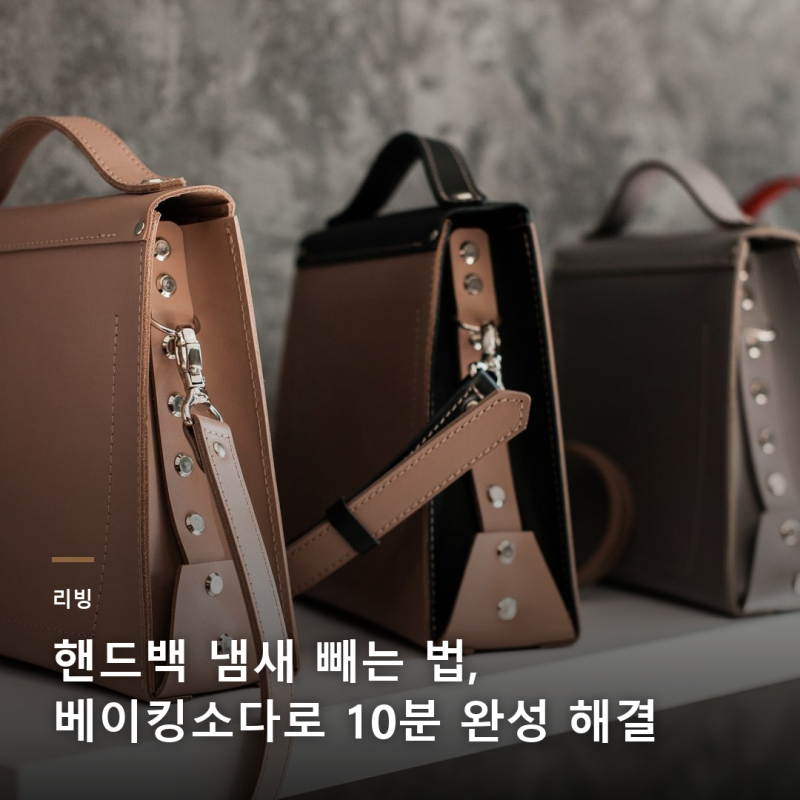 가죽 명품도 피하지 못하는 핸드백 화학냄새, 집에서 빼는 법