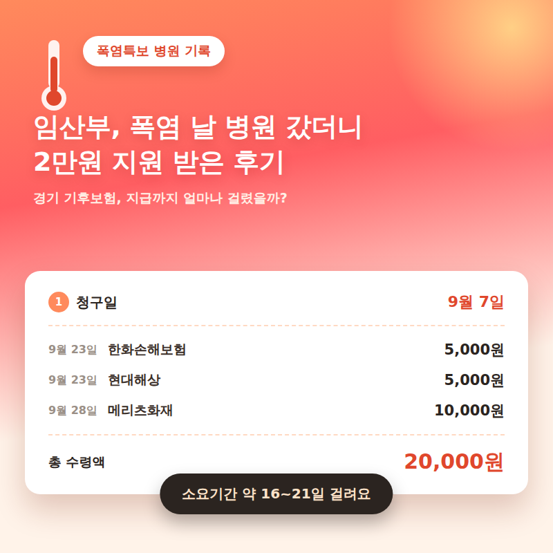 임산부, 폭염 날 병원 갔더니 2만원 지급 받은 후기 (경기 기후보험 청구부터 지급 소요 기간 ....