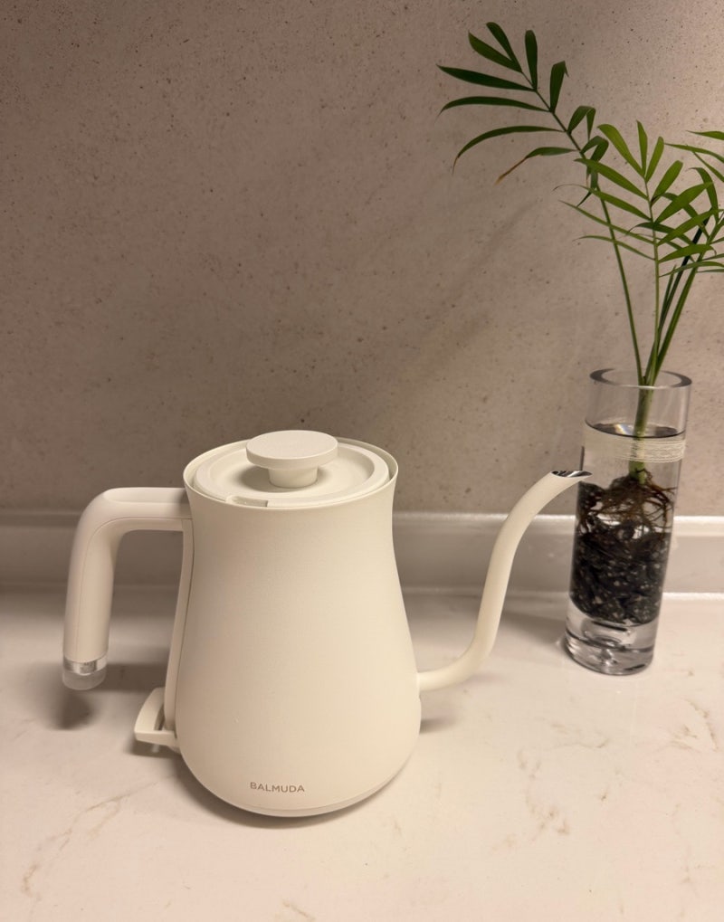 발뮤다 전기포트