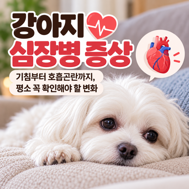강아지 심장병 증상 평소와 다르다면 확인해 보세요