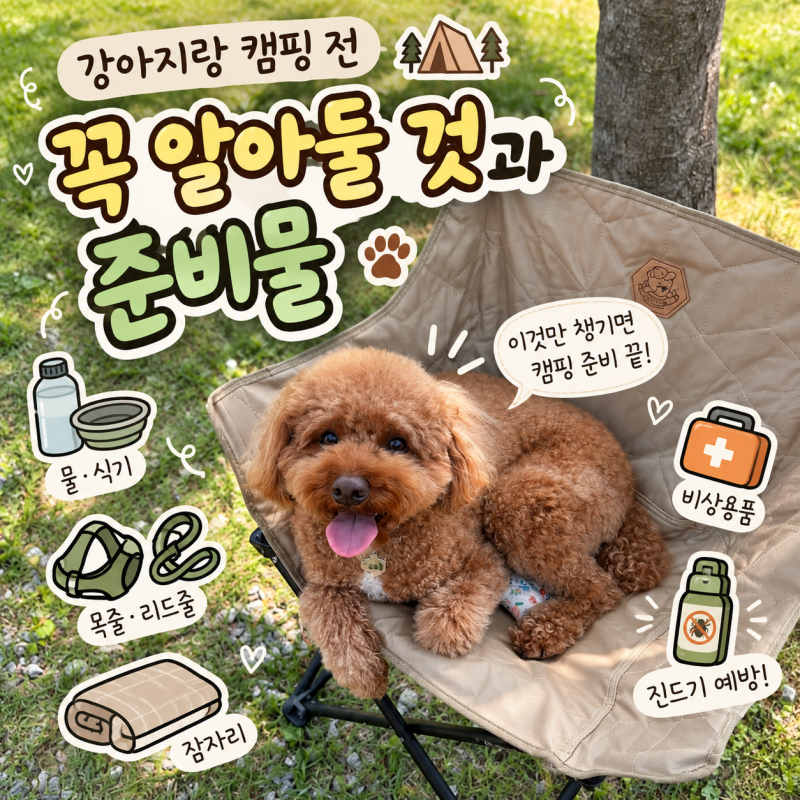 강아지 캠핑 준비물｜애견동반 캠핑 전 꼭 알아둘 것!