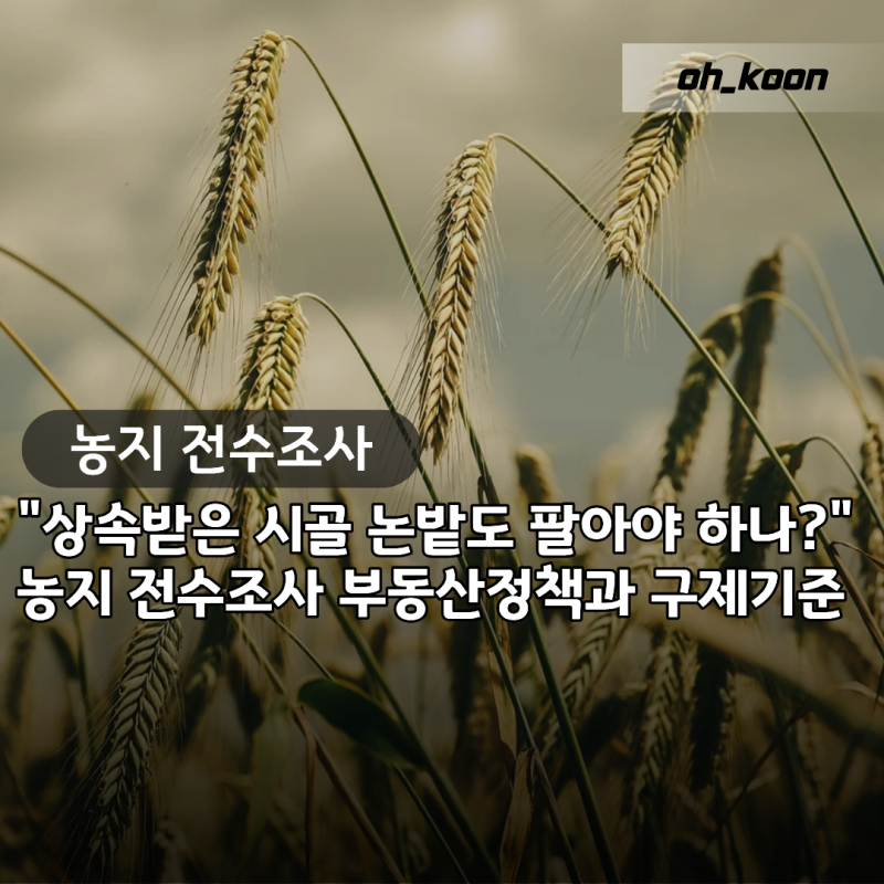 농지 전수조사 "상속받은 시골 논밭도 팔아야 하나?" 바뀐 부동산정책과 구제 기준