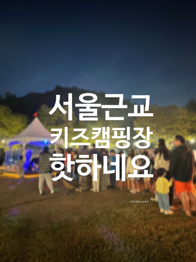 서울근교 키즈캠핑장 여기가 탑이네요! 동두천 에코유 캠핑장 명당