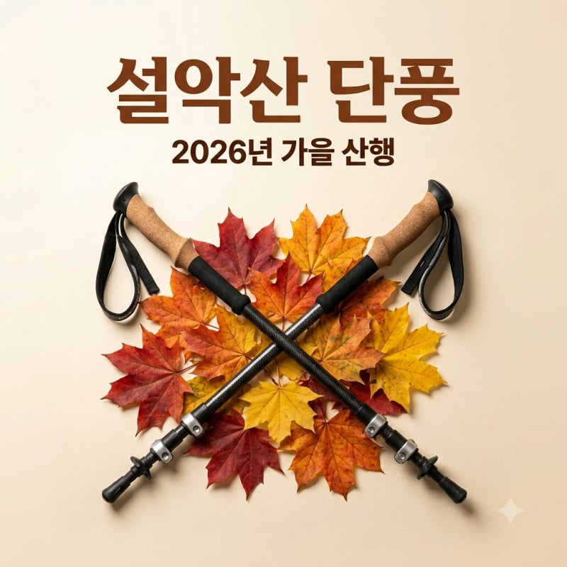 설악산 첫 단풍 시작됐다…2026년 단풍 절정은 언제? 국립공원 실시간 영상보기