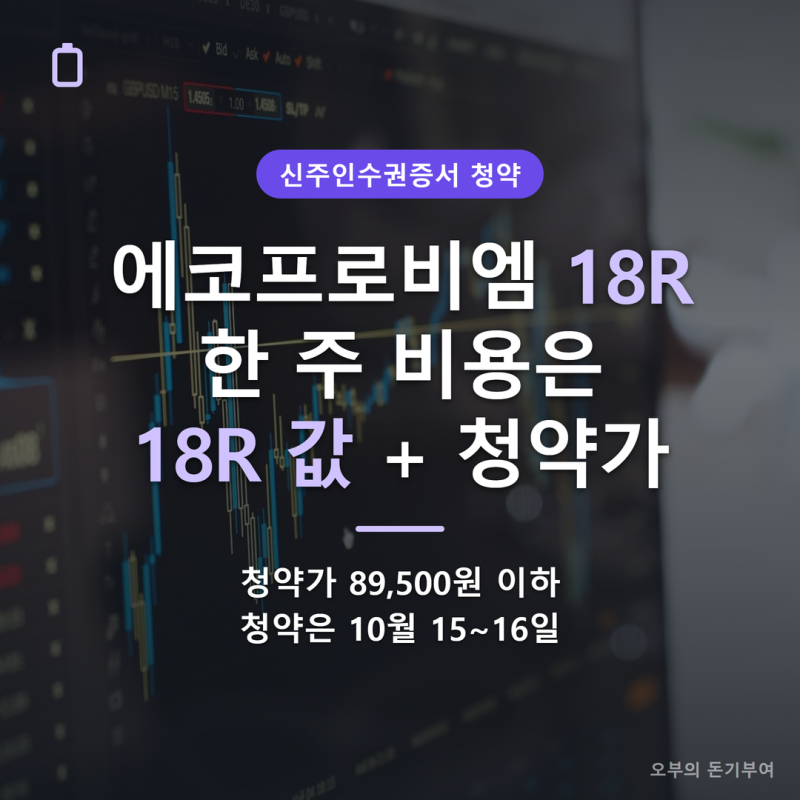 에코프로비엠 18R 사서 청약하면 한 주에 얼마일까? 18R 값에 청약가 8만9,500원이 더 붙습니다