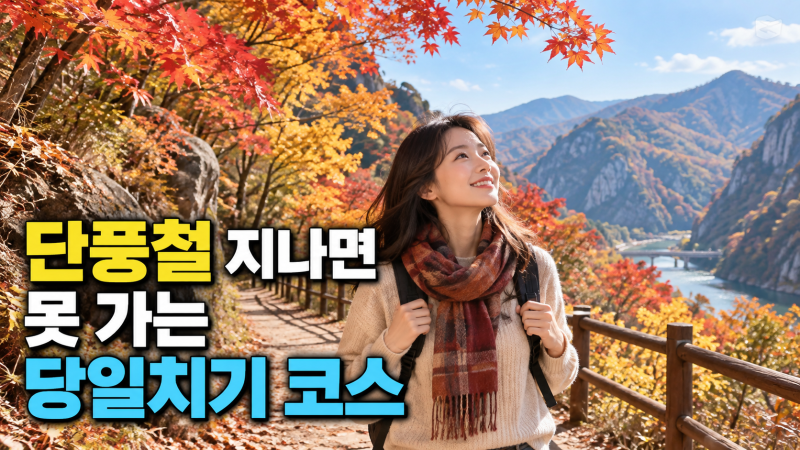 문채원이 20년 만에 떠난 당일치기 여행지, 따라가 봤더니 10월 코스로 딱