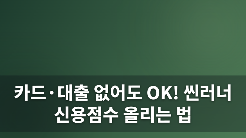 사회초년생이나 금융 이력이 부족한 씬러너(Thin File)가 신용점수를 빠르게 올리기 위해 반드....