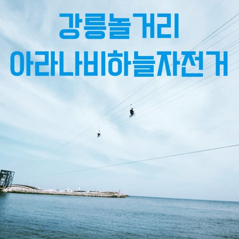 강릉 이색체험 아라나비 하늘자전거｜넷플릭스 대환장 기안장 촬영지