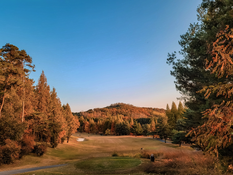 제 26회 하이트진로 챔피언십, 2026 KLPGA 마지막 메이저의 주인공은?