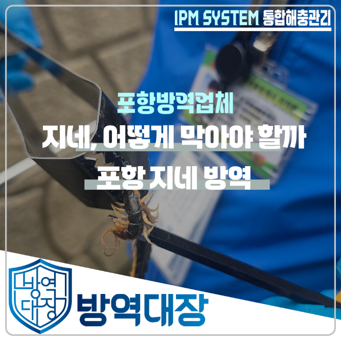 포항 방역 - 지네, 어디서 들어오는지 현장부터 확인했습니다