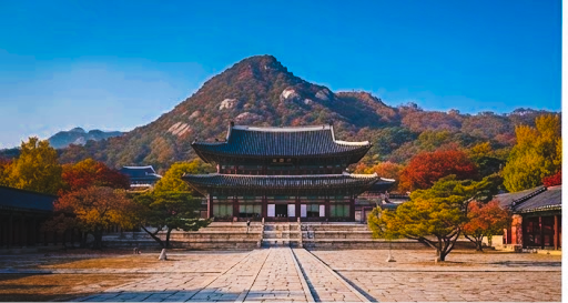 [서울 가을 데이트 추천] 고궁 야간개장 완벽 가이드 (경복궁·창덕궁 일정·예매) + 실패 없는....