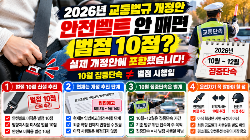 “안전벨트 안 맸다가 벌점 10점?” 10월 단속 앞두고 꼭 확인할 사실