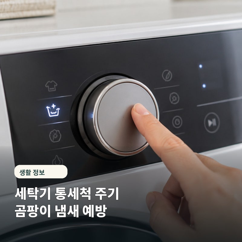 세탁기 통세척 주기, "이만하면 됐지" 하다 곰팡이 핀 이유