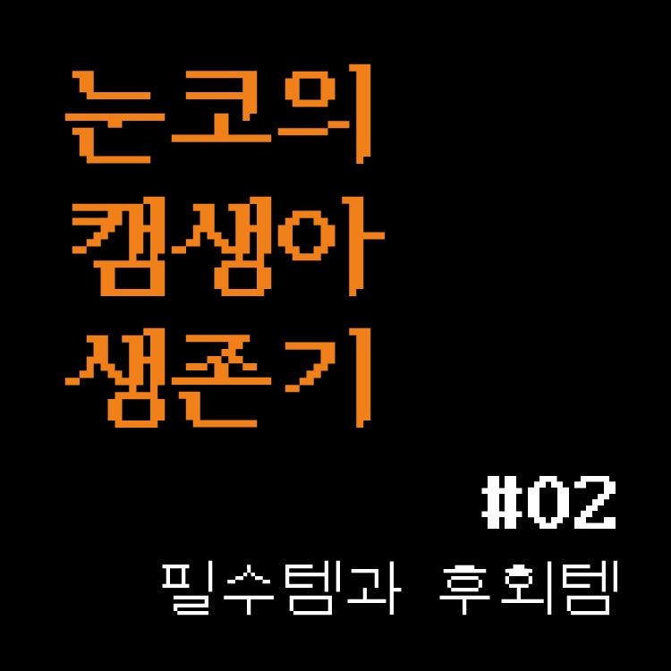 [눈코의 캠생아 생존기 #02] 캠린이 캠핑용품 추천: 통장 지키는 필수템 5가지 vs 당근행 후회....