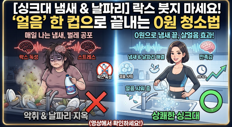 싱크대 배수구 냄새, 락스 붓지 마세요! '얼음' 한 컵으로 날파리까지 얼려 죽이는 0원 청소법
