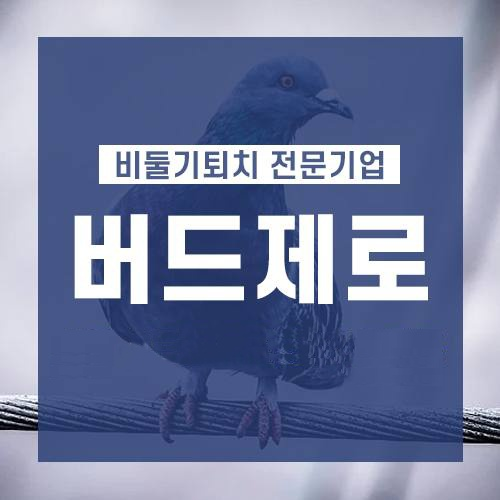 성남 비둘기퇴치 업체 버드제로!!수진동 YM프라젠아파트 실외기실 비둘기 똥 청소 및 비둘기....
