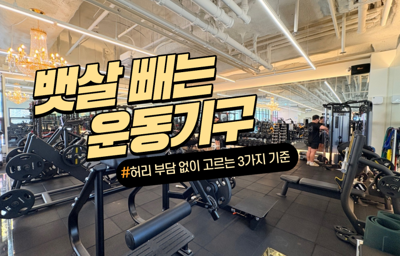 뱃살 빼는 운동기구, 허리 부담 없이 고르는 3가지 기준