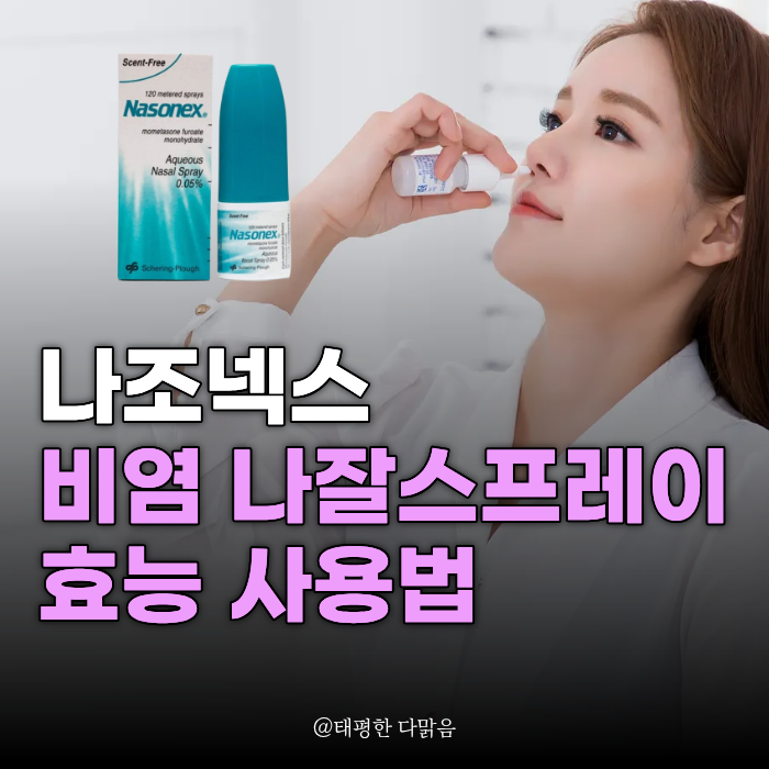 나조넥스 나잘스프레이 비염 처방 사용법 코 뿌리는약 알아보자
