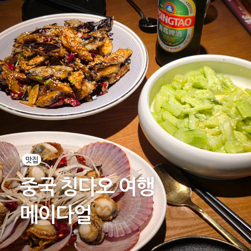 중국 칭다오 맛집 메이다얼 고덕지도 메뉴 추천 내돈내산 가격 위치