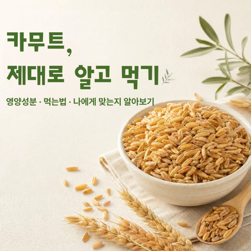 카무트란? 영양성분과 효능, 먹는법까지｜카무트가 나에게 맞는지 알아보기