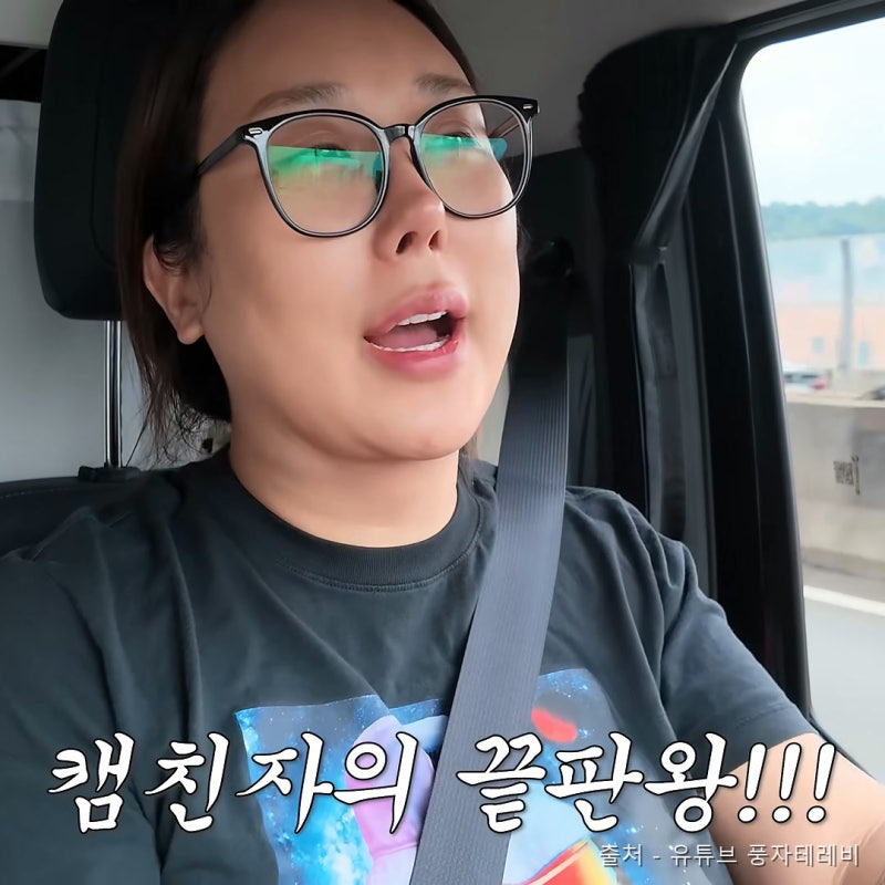 “풍자 한달 2천만원 번다는데 차는?” 5천만원대 국산 전기 캠핑카 정체