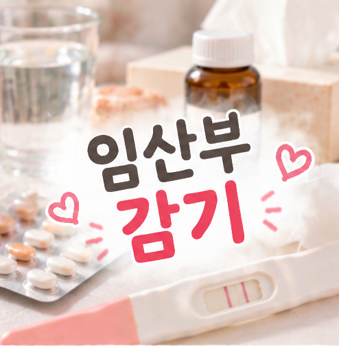 임산부 감기 고생 경험 감기약 먹어야 할 기준 타이레놀 복용법