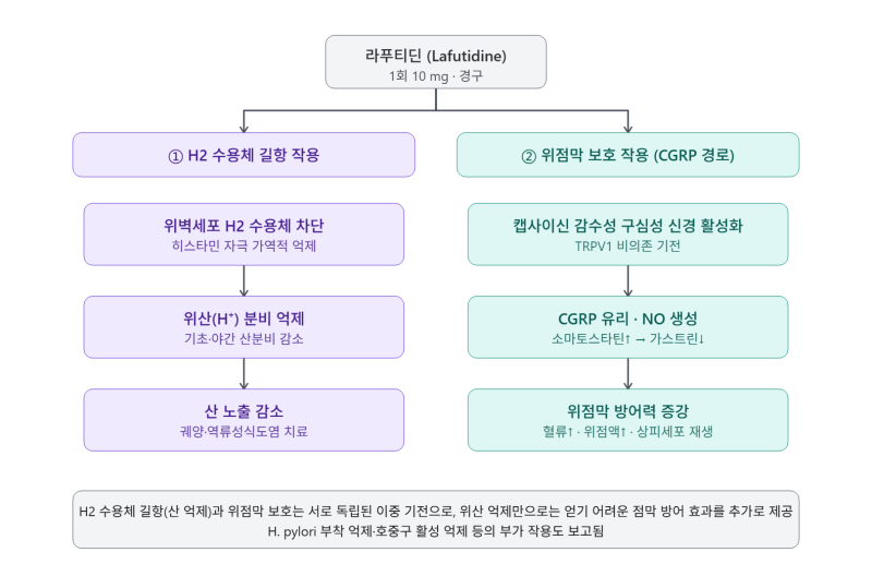 라푸티딘(Lafutidine) / 스토가.급성위염.만성위염.위점막병변.소화성궤양.역류성식도염.헬리코....