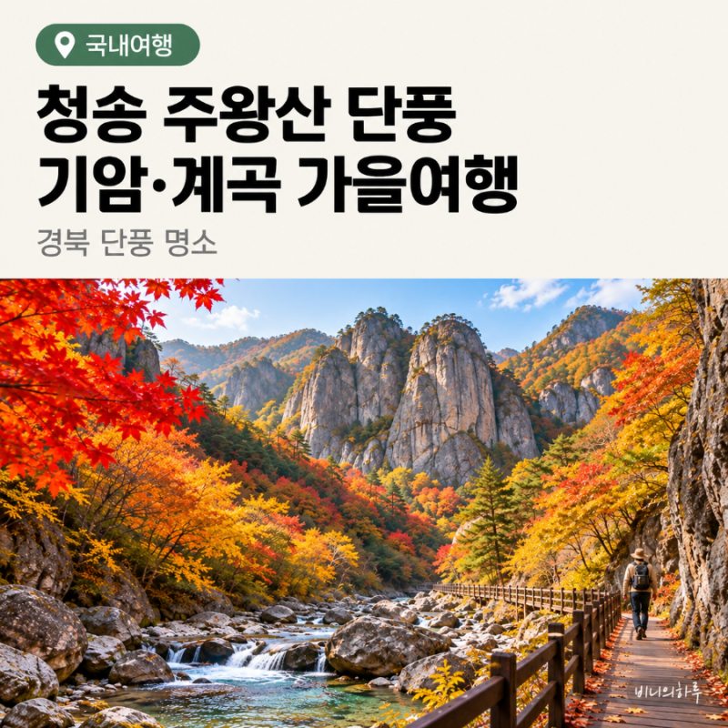 경북 단풍 명소 청송 주왕산 | 기암과 계곡 따라 걷는 가을 단풍길