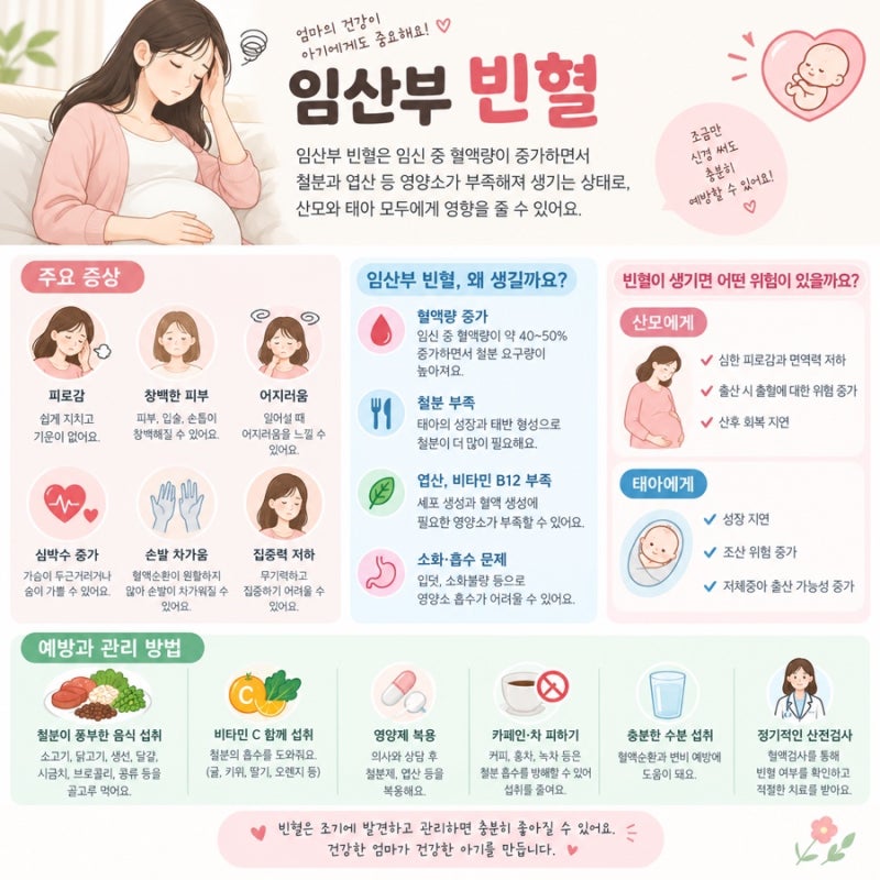 임산부 빈혈｜임신 중 어지럽고 피곤하다면 철분 부족일까?