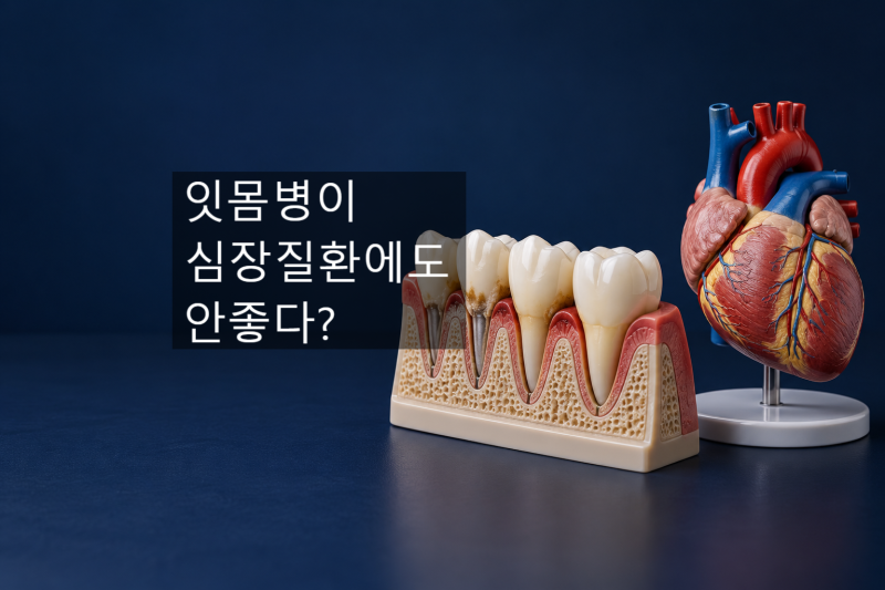 잇몸병이 심장병 위험까지 높인다? 치주염과 심혈관질환 어디까지 사실일까