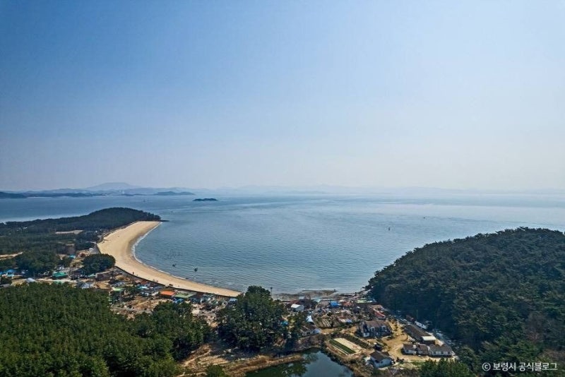 [2026년 10월 보령 삽시도 1박2일] 대천항에서 40분! 황금곰솔 둘레길 & 초보 도보 낚시 포인트 TO....