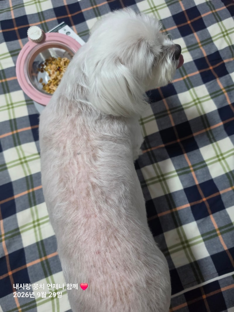 자신있게 공계합니다 #아나포유알앤유
