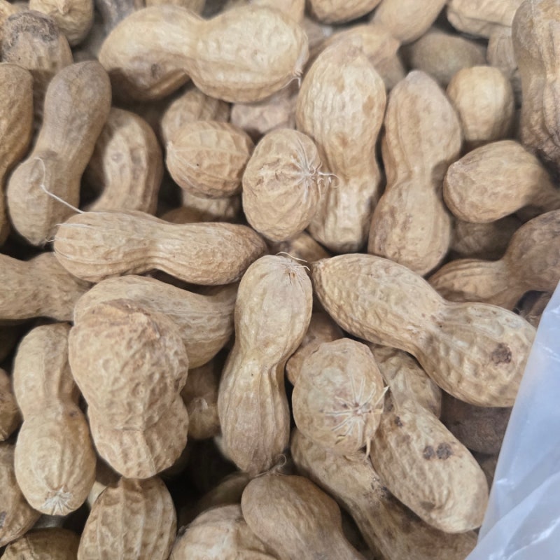 햇땅콩 삶는법부터 보관법까지, 제철 햇땅콩 맛있게 먹는 방법