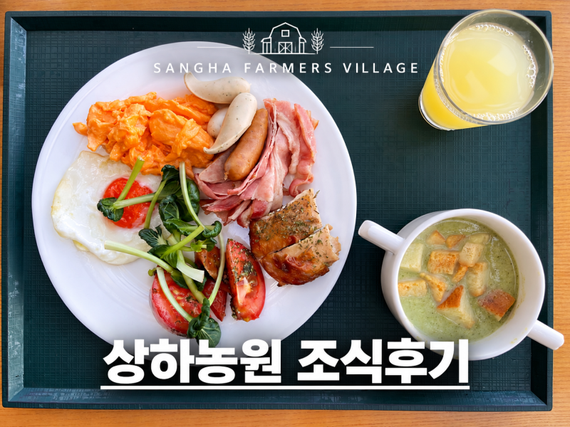 고창 상하농원 조식 후기｜진 유정란 계란부터 한식,양식까지 든든했던 아침