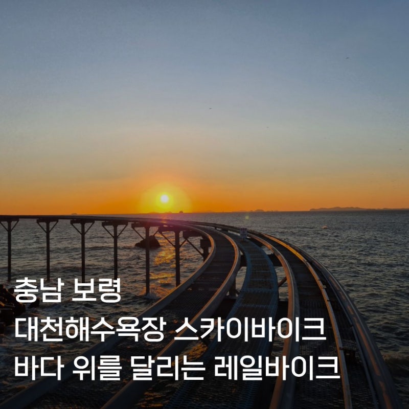 충남 보령 대천해수욕장 스카이바이크 예약 방법 소요시간 주차 근처 숙소