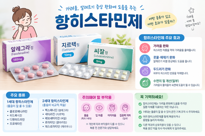 29. 항히스타민제란? 가려움 효과와 종류·부작용 정리