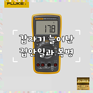 FLUKE 17B+ 디지털 멀티미터 AC/DC 전류 전압 저항 연속성 정전용량 온도 측정