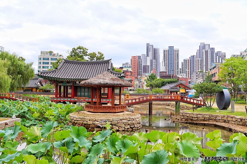 Gangwon-do Day Trip: Must-Visit Wonju Gangwon Gamyeong