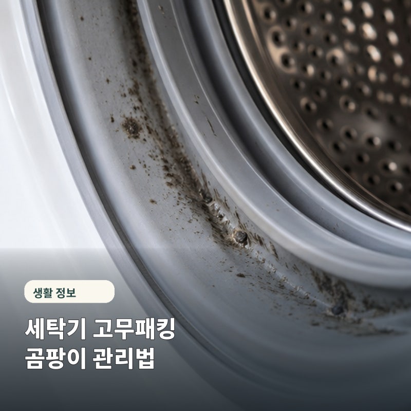 "이렇게 심할 줄 몰랐어요" 드럼세탁기 고무패킹 곰팡이 없애는 법