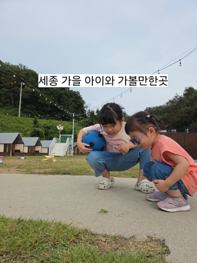 세종 가을 아이와가볼만한곳 야외캠핑과 고기맛집 바베큐팩토리 ft,세종아이와가볼만한곳,....