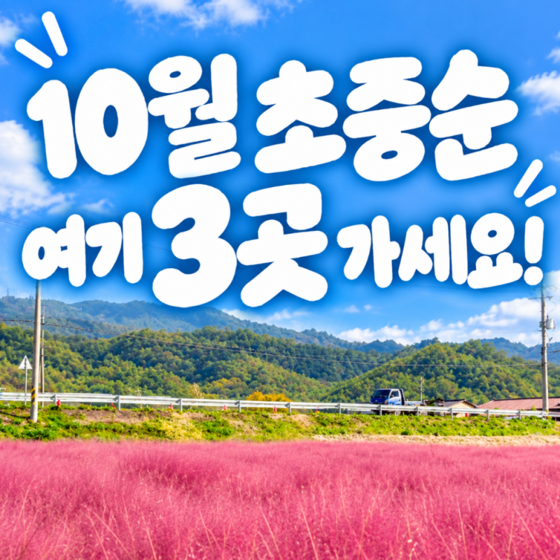 10월 국내 여행지 추천 가을 가볼만한곳 BEST 3