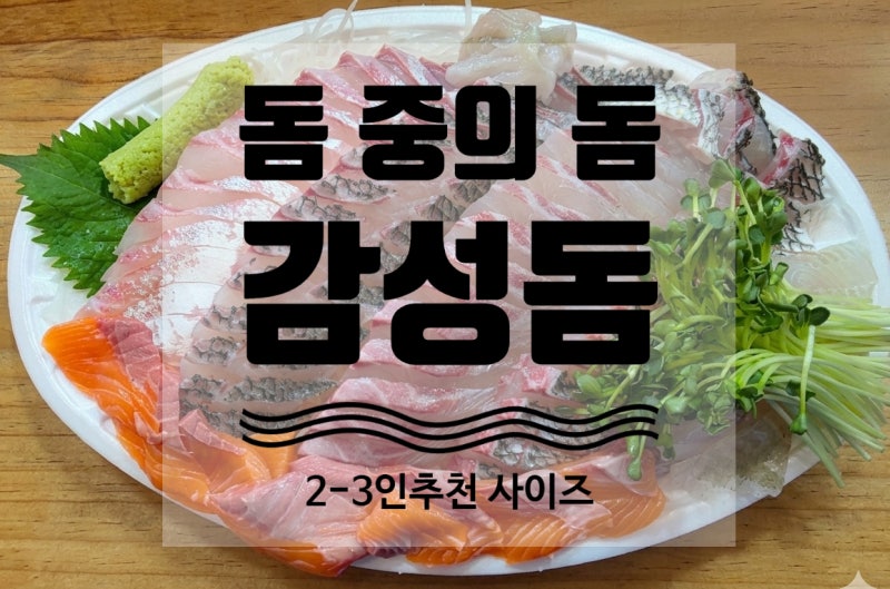 노량진 수산시장 감성돔 회 10월 연휴 동안 먹기 좋은 맛있는 고급회