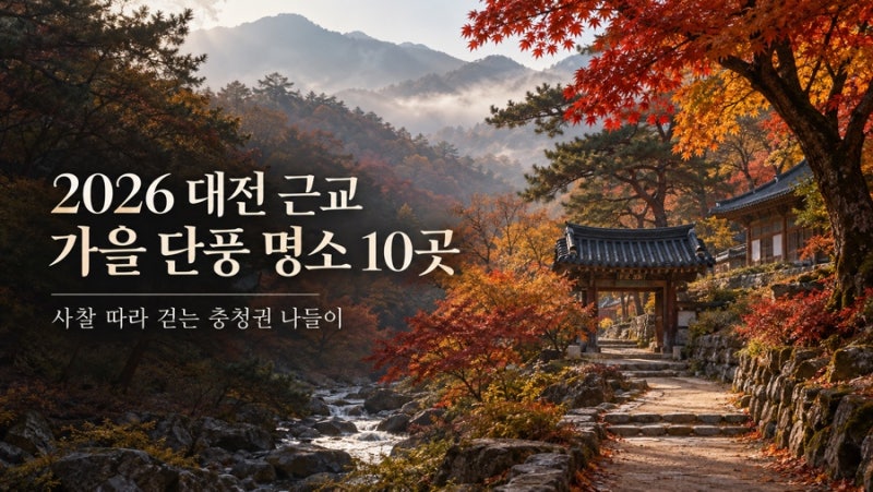 2026 대전 근교 단풍구경 명소 10곳｜충청권 가을 사찰 여행
